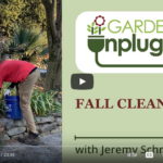 Garden Clean-up Tips for Fall