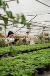 best plants to grow in alabama