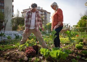 Gardeners React to YOUR Ridiculous Gardening Fails