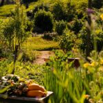Edible Landscapes: Blending Beauty and Food in the Modern Garden