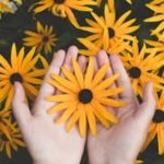 Micro Gardens: Turning Tiny Spaces Into Abundant Green Retreats