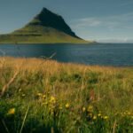 Tech-Free Escapes: The Outdoor Movement Toward Digital Detox Adventures