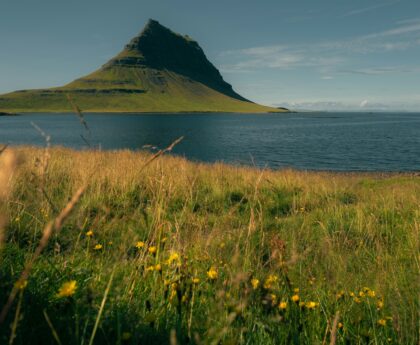 Tech-Free Escapes: The Outdoor Movement Toward Digital Detox Adventures