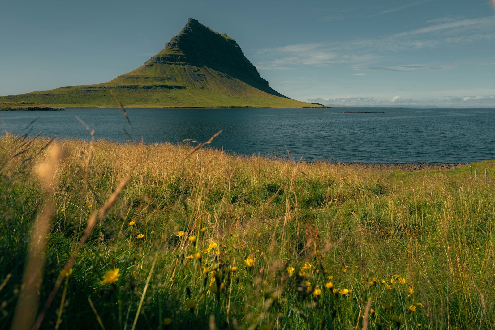 Tech-Free Escapes: The Outdoor Movement Toward Digital Detox Adventures