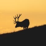 Hidden Nature Escapes: Discovering Lesser-Known Outdoor Travel Spots