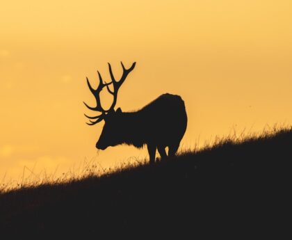 Hidden Nature Escapes: Discovering Lesser-Known Outdoor Travel Spots