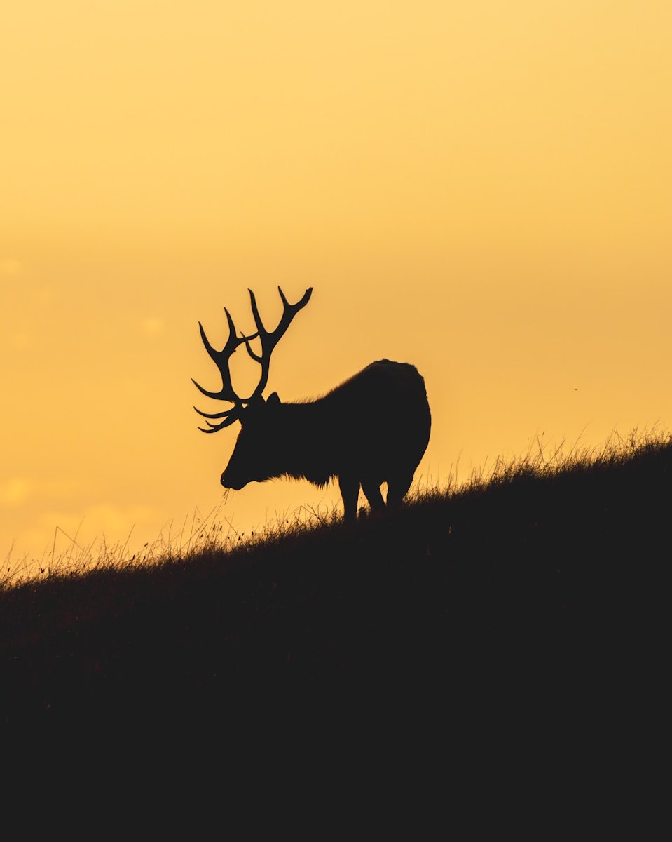 Hidden Nature Escapes: Discovering Lesser-Known Outdoor Travel Spots