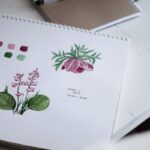 Garden Design Drawing - Sketching Designs by Hand