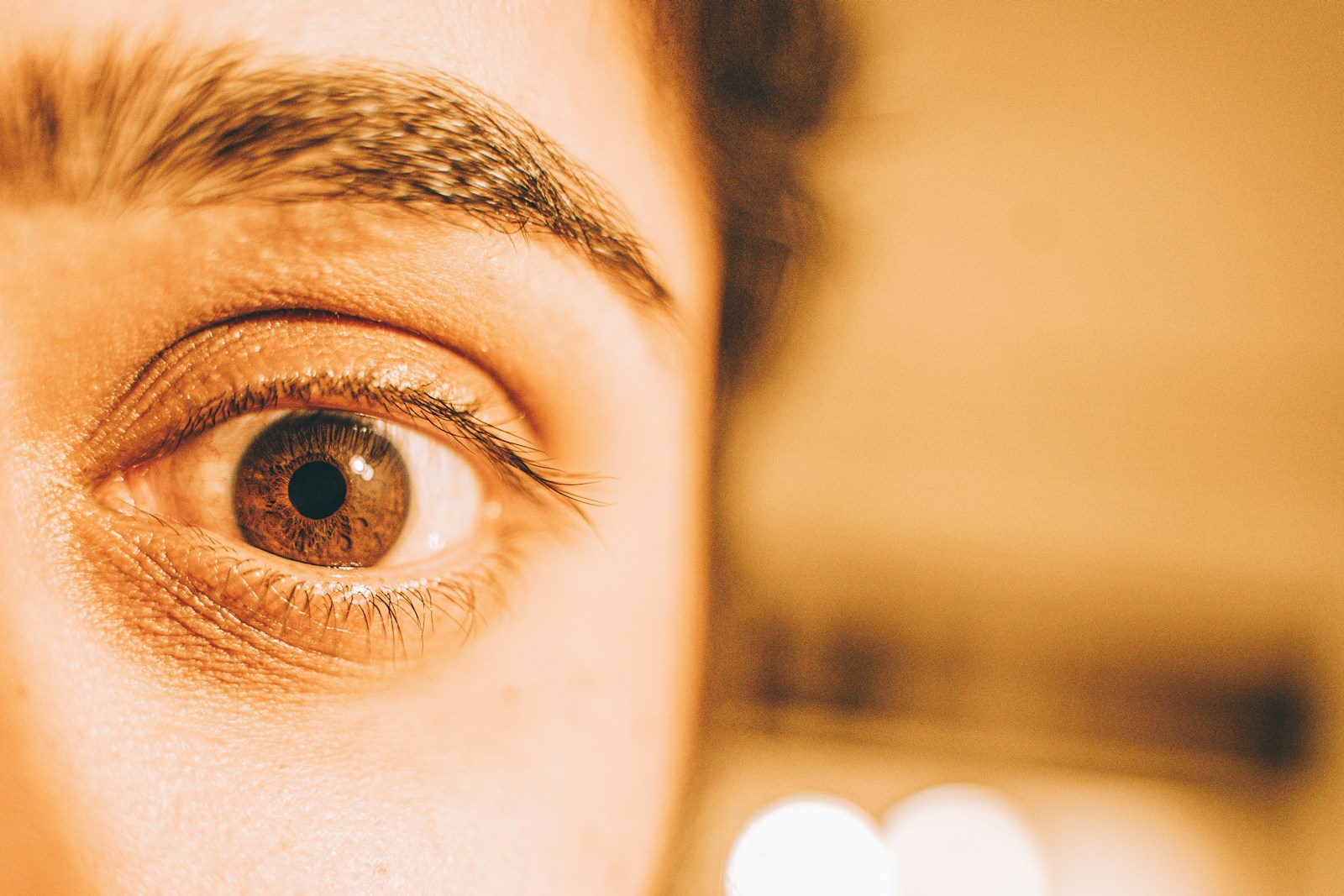 Hyperfocus: How Deep Attention Can Change the Way We Work and Live