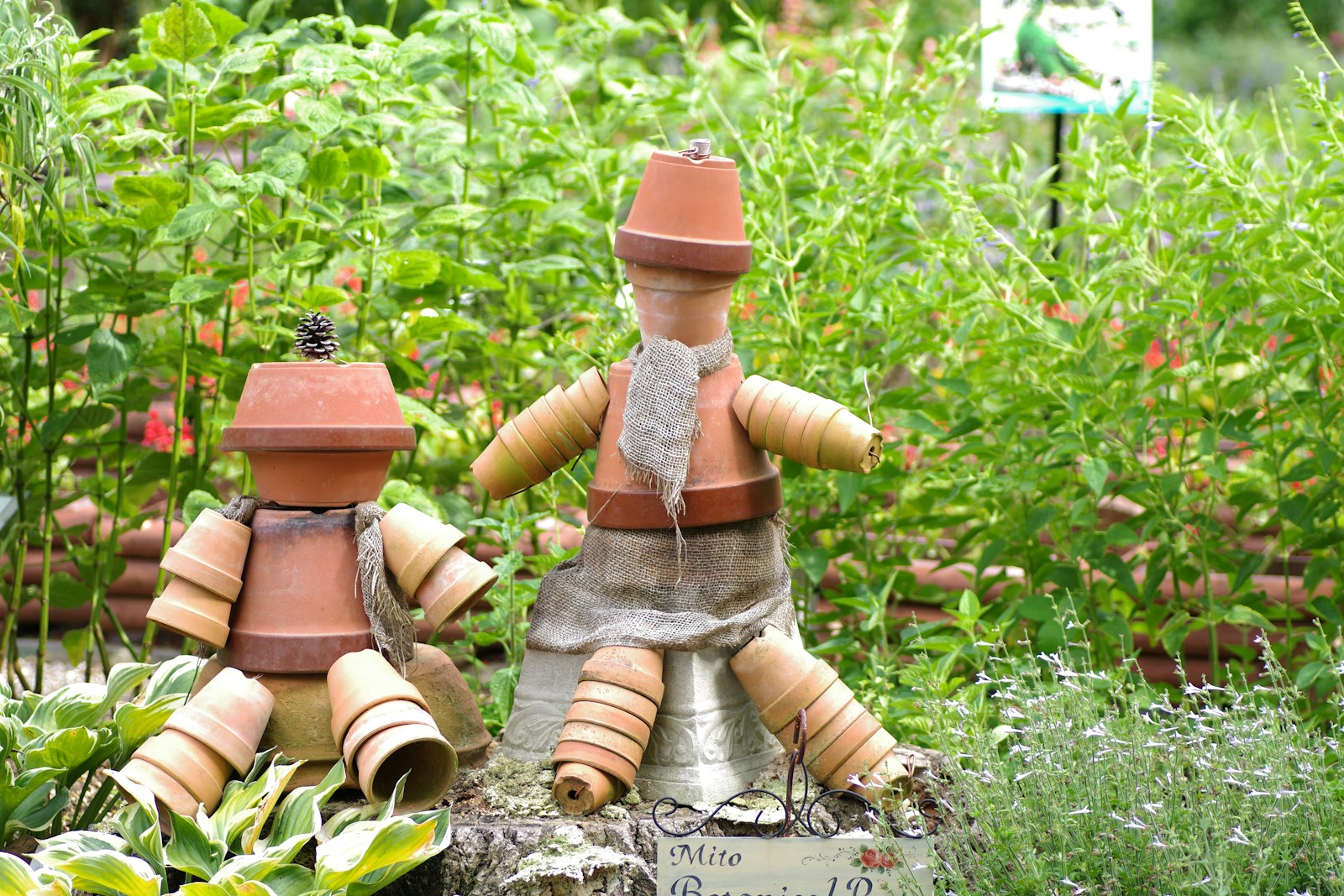 DIY Easy Herb Garden