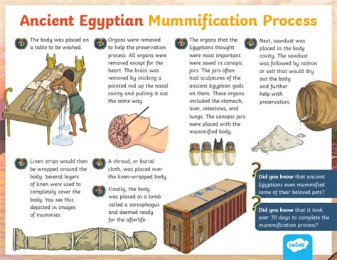 Walking With A Modern Mummy: What Alan Billis Taught Me About Ancient Egyptian Genius