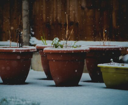 Winter Is Still Gardening Season
