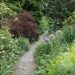 Stroll Through the Summer Garden