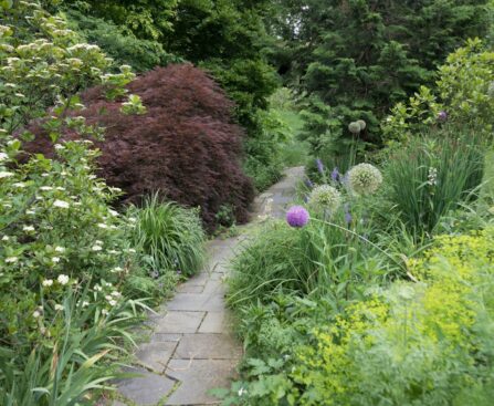 Stroll Through the Summer Garden