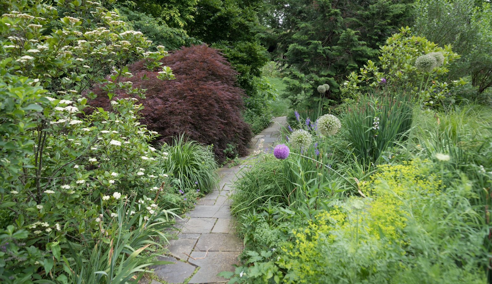 Stroll Through the Summer Garden