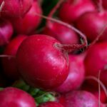 Radishes Are the Fastest, Healthiest Crop You Can Grow (And They Fight Pests Too)