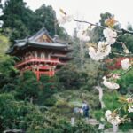 How Long Is a Flight From California to Japan?