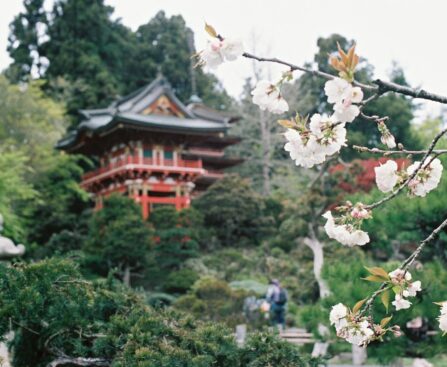 How Long Is a Flight From California to Japan?