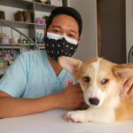 How Much Do Vet Techs Make in California?