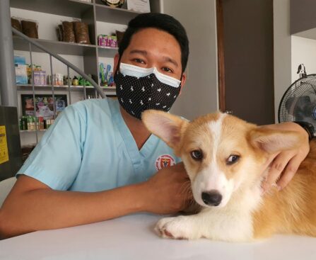 How Much Do Vet Techs Make in California?