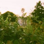 Why Charles Dowding’s No-Dig Garden Video Still Feels Fresh Years Later