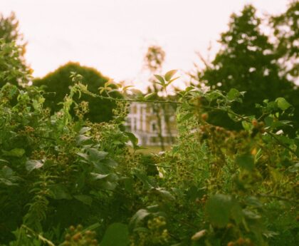 Why Charles Dowding’s No-Dig Garden Video Still Feels Fresh Years Later