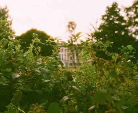 Why Charles Dowding’s No-Dig Garden Video Still Feels Fresh Years Later