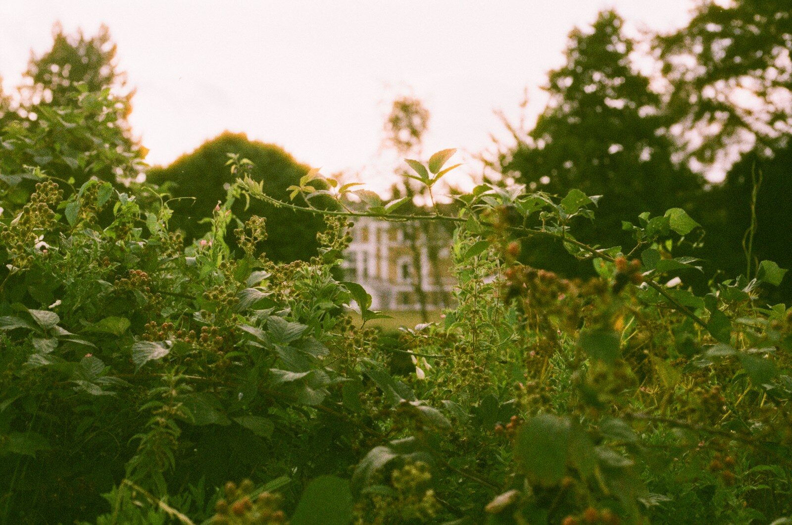 Why Charles Dowding’s No-Dig Garden Video Still Feels Fresh Years Later