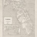 The July Day Spain Handed Florida to the United States