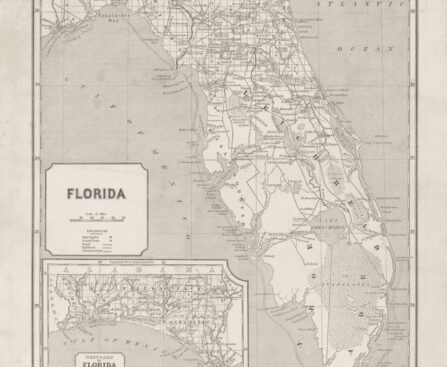 The July Day Spain Handed Florida to the United States
