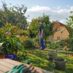 Charles Dowding’s No-Dig Raised Bed Video Makes Starting Feel Possible
