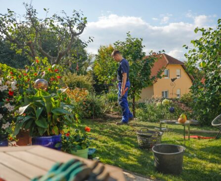 Charles Dowding’s No-Dig Raised Bed Video Makes Starting Feel Possible