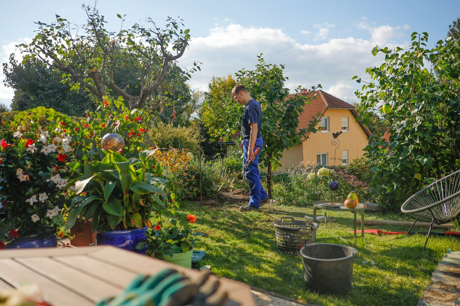 Charles Dowding’s No-Dig Raised Bed Video Makes Starting Feel Possible