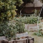Self Sufficient Me’s High Raised Bed Build Balances Comfort and Cost