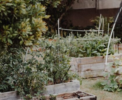 Self Sufficient Me’s High Raised Bed Build Balances Comfort and Cost