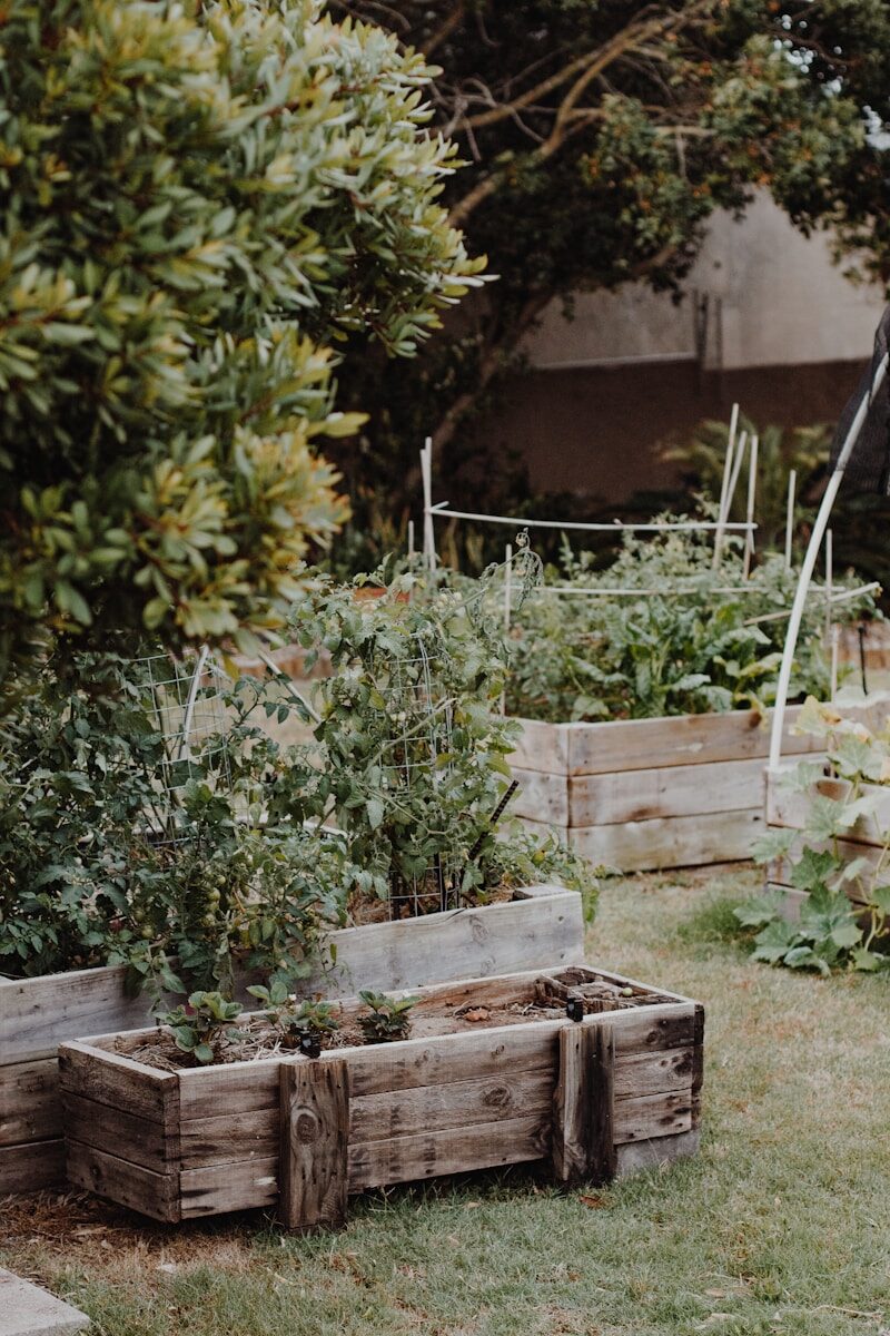 Self Sufficient Me’s High Raised Bed Build Balances Comfort and Cost