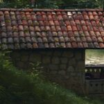 Primitive Technology’s Tiled Roof Hut Proves Silence Can Teach