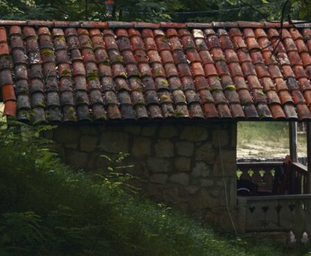 Primitive Technology’s Tiled Roof Hut Proves Silence Can Teach